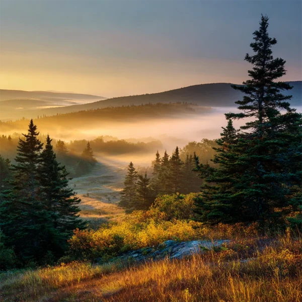 Anxiety and Depression Group at central hall commons near dover foxcroft maine 04426 1
